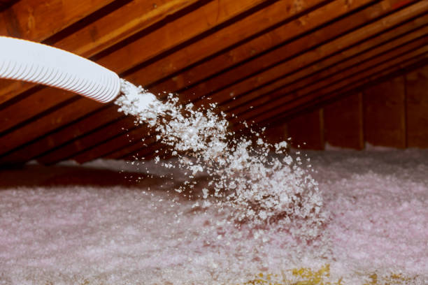 Best Spray Foam Insulation in Plainview, MN